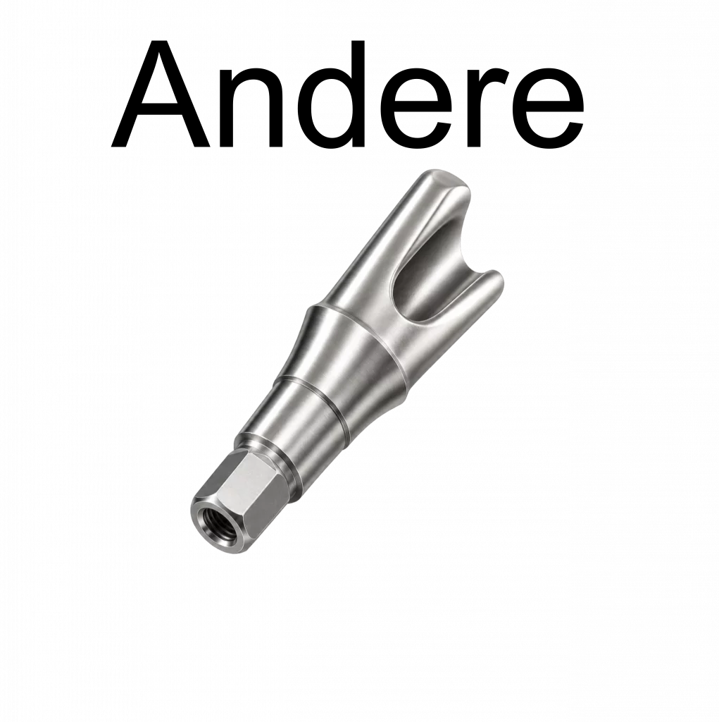 indiv. Abutment Sonstige